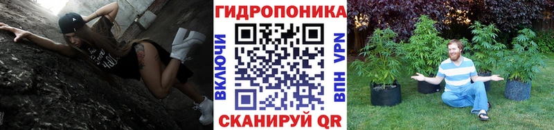 Где купить наркотики Кондрово Каннабис  Галлюциногенные грибы  ГАШИШ  Кокаин 